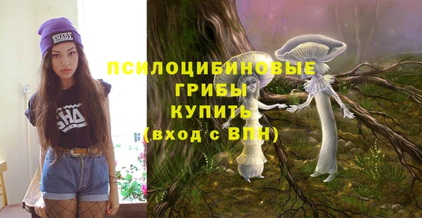 гашик Абдулино