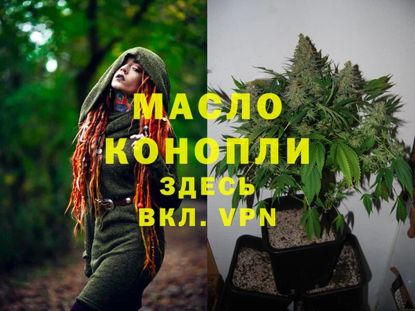 гашик Абдулино