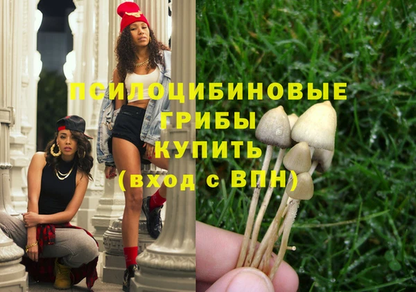 гашик Абдулино
