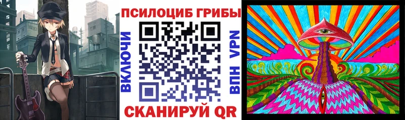 Псилоцибиновые грибы Magic Shrooms  где купить наркотик  Чита 