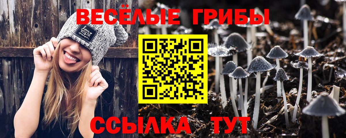 Галлюциногенные грибы MAGIC MUSHROOMS  Вход с VPN  Чита 